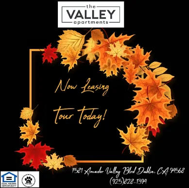 The Valley Apartments — Photo 45
