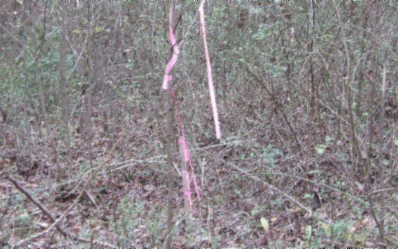 3rd image of 761 Petit Ln