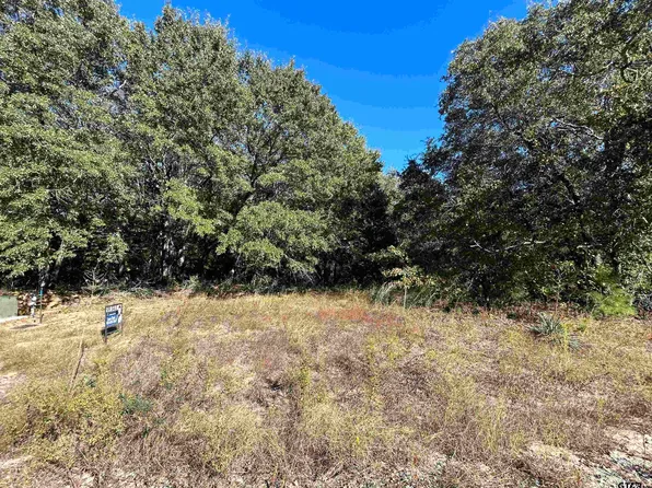 Private Road 6235, Mineola, TX 75773