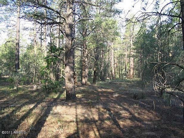 1st image of 3560 N Wild Bill Way