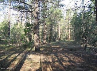 3560 N Wild Bill Way, Show Low, AZ 85901