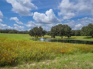 375 N Lake Shenandoah Loop, Inverness, FL 34453