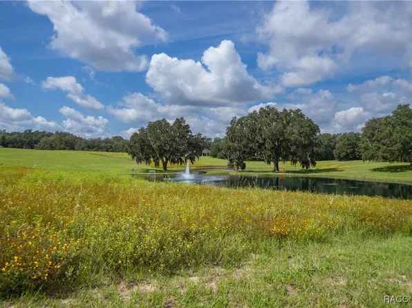 375 N Lake Shenandoah Loop, Inverness, FL 34453