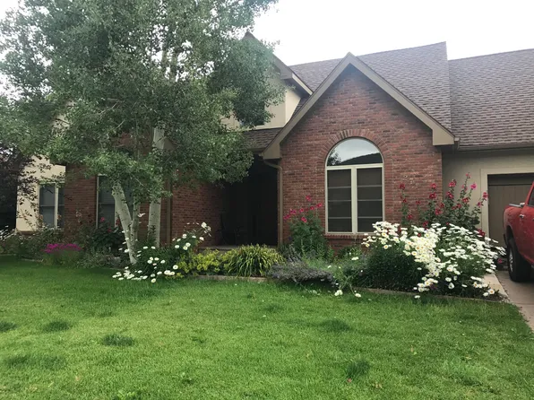 271 Black Bear Dr, Gypsum, CO 81637
