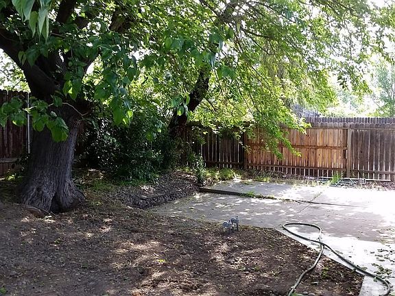 Backyard corner.