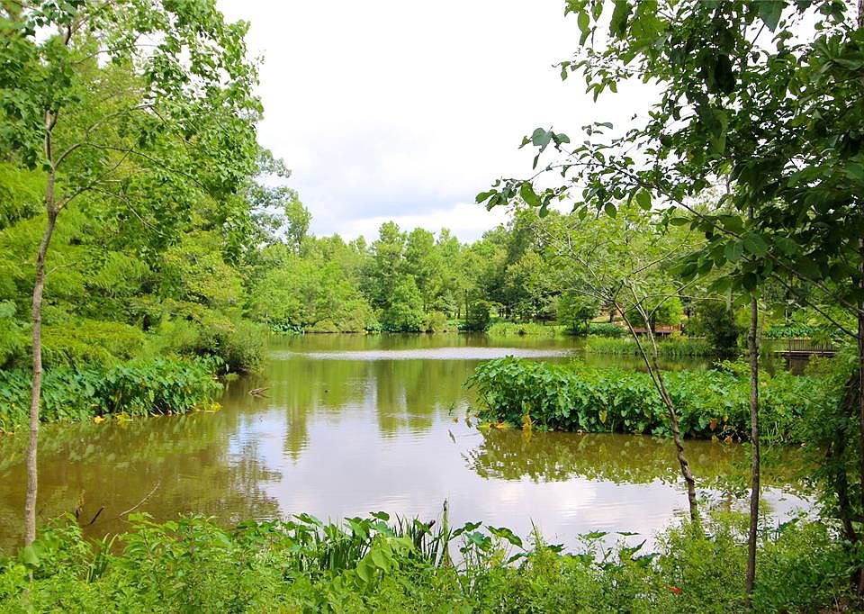 1st image of 1553 Emerald Lakes Dr