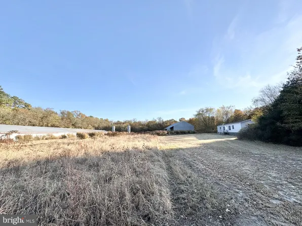 31366 Scala Ln, Laurel, DE 19956