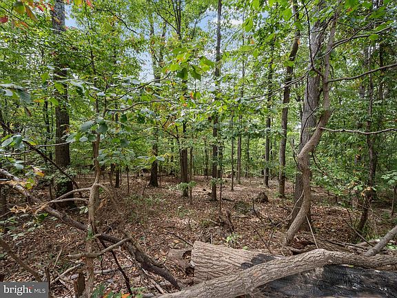 5th image of LOT 17 Mill Stone Run