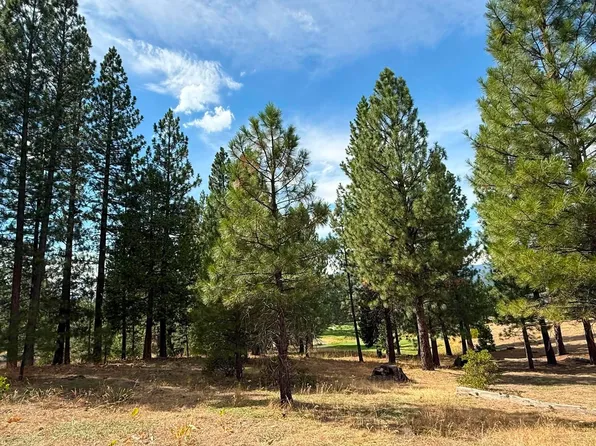 566 Red Sky, Portola, CA 96122