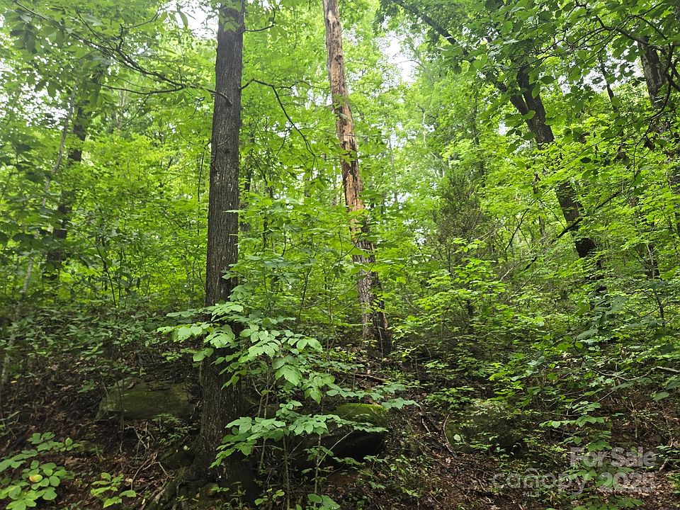 2nd image of LOT 11 Eagles Crest Way