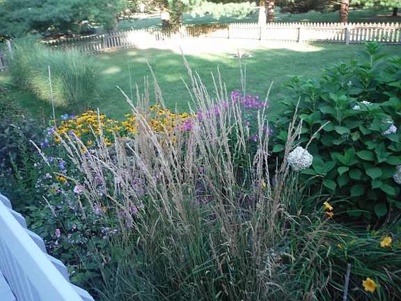 Back of House Landscaping