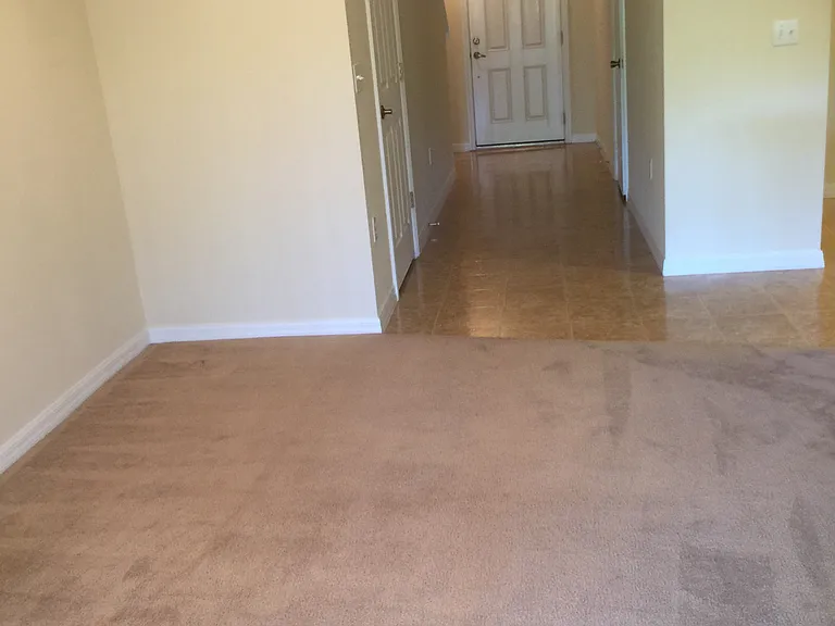 173 Constitution Way — Photo 24