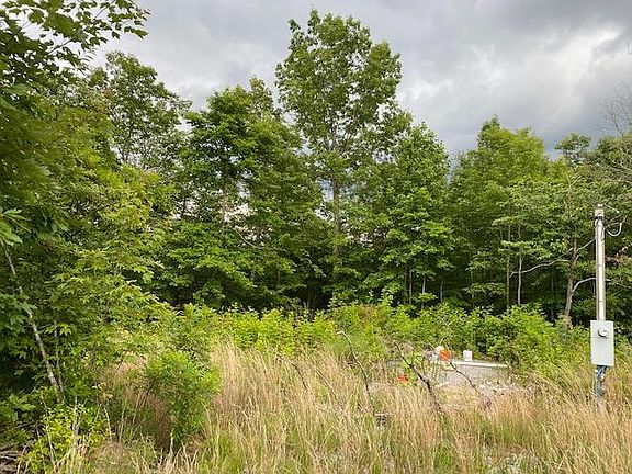 4th image of 10360 S Pittsburg Mountain Rd #3