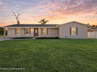 6602 Treehaven Dr, Spring Hill, FL 34606