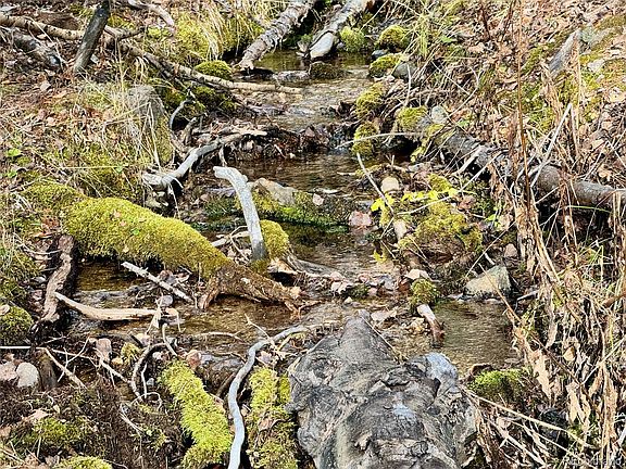 2nd image of Ryland Road