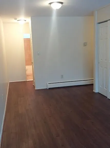 Dinning area in 1 Bedroom w/ vinyl Floors & Bypass closet doors