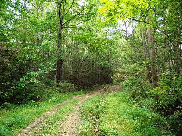 2nd image of Lot 70 Lin Creek Rd. #Lot 70