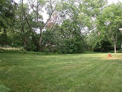 Wooded Backyard