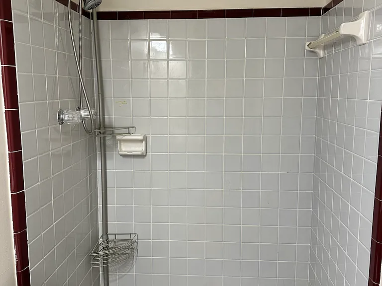 Master bath shower