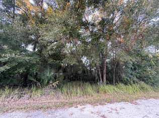 NE 132nd St LOT 97, Fort Mc Coy, FL 32134