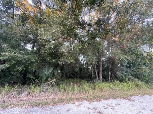NE 132nd St Lot 97, Fort Mc Coy, FL 32134