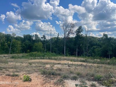 LOT 13 Laura Boling Loop Rd, Strawberry Plains, TN, 37871