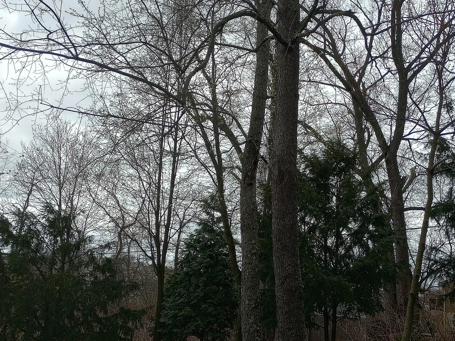 Roseberry St, Pittsburgh — Photo 2