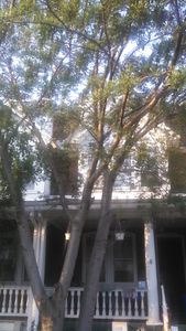 909 Spring St, Bethlehem, PA, 18018