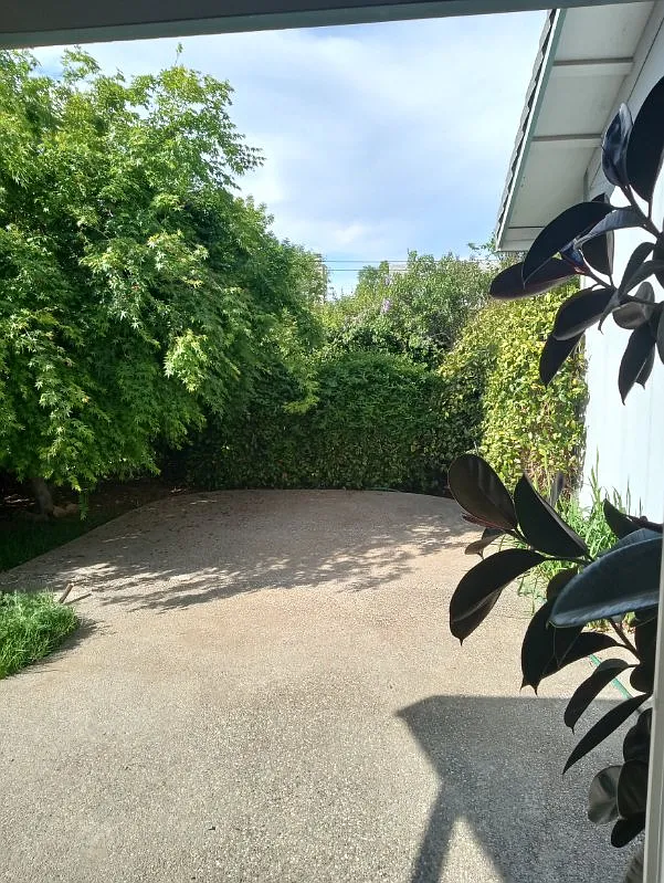 1 bed, 1000 sqft, $1,600 — Photo 4