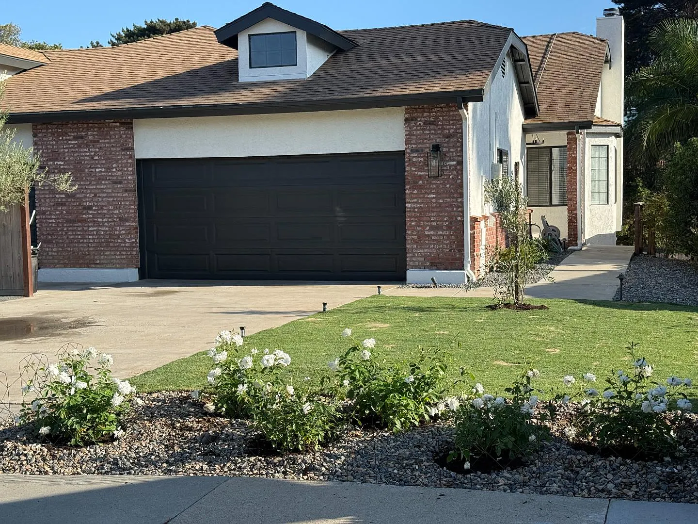 2503 Levante Street — Photo 1