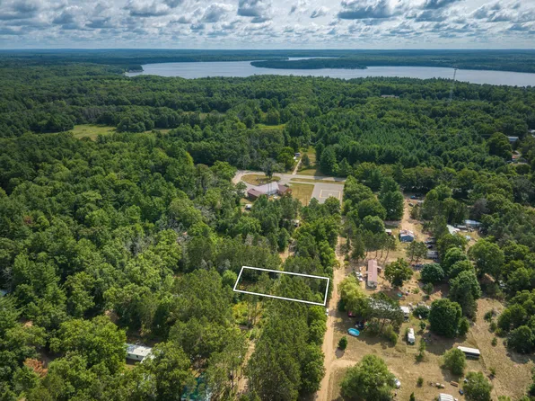 6313 E 29th St, White Cloud, MI 49349
