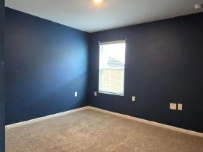 4384 White Cedar Ct — Photo 22