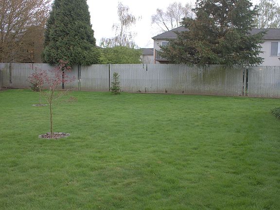 back yard