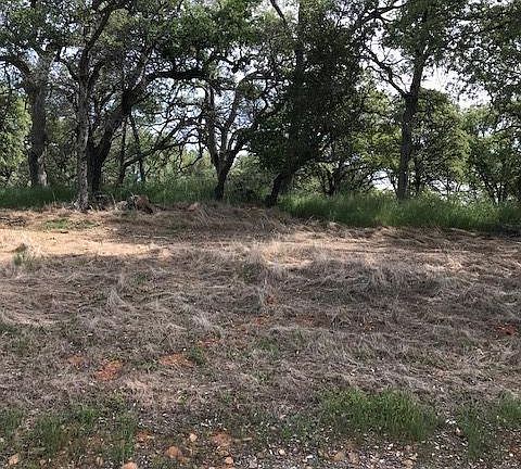 5th image of 23020 Oak Mountain Ct