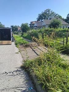 2nd image of 2539 Agnes Ave