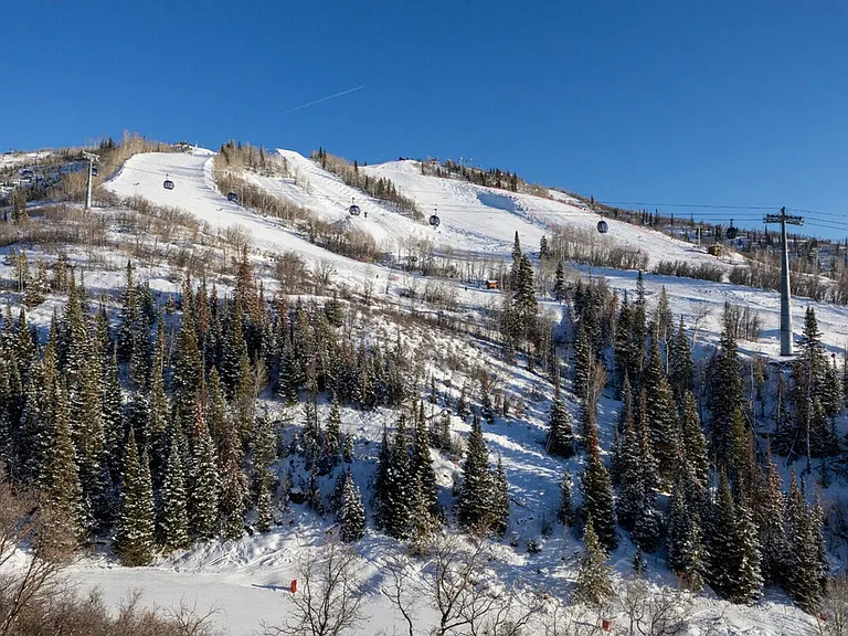 2395 Storm Meadows Dr #ID1564321P — Photo 35
