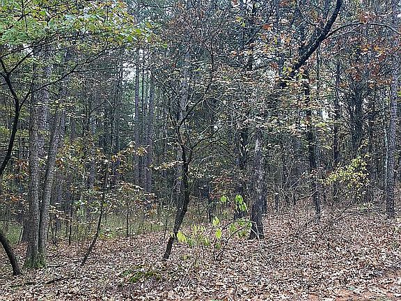 3rd image of LOT 21 Cadron Settlement Ln