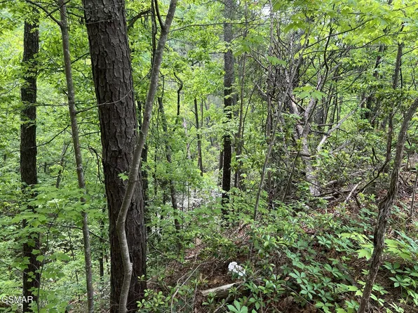 4 Yost Way, Sevierville, TN 37876