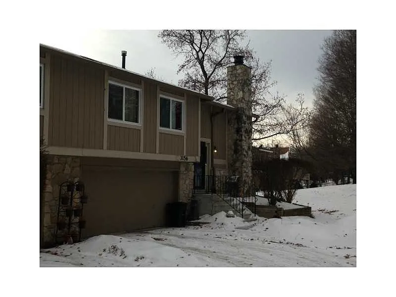 3156 Stillmeadow Dr photo 1
