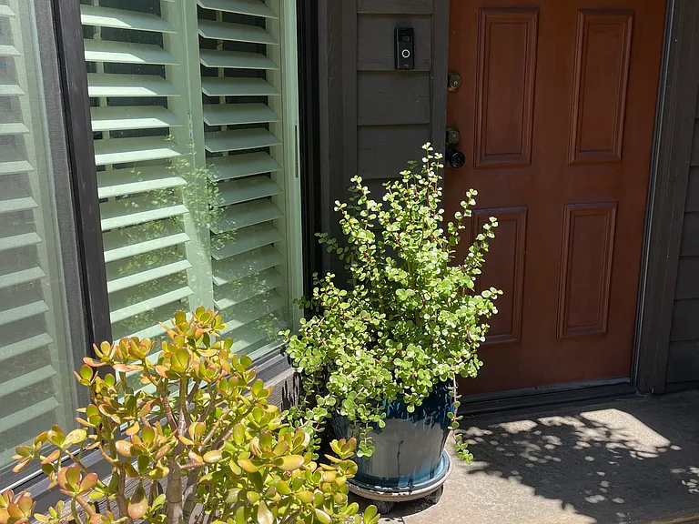 15050 Sherman Way #162 — Photo 31