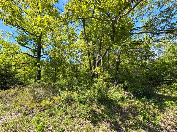 LOT 43 Ponderosa Cir, Presque Isle, MI 49777