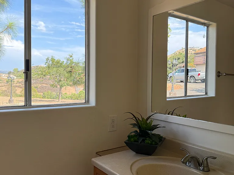 Bathroom sink