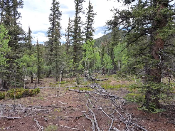 256 Bear Ln, Como, CO 80432