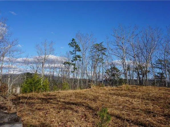 0 Muscadine Ln, Chatsworth, GA 30705