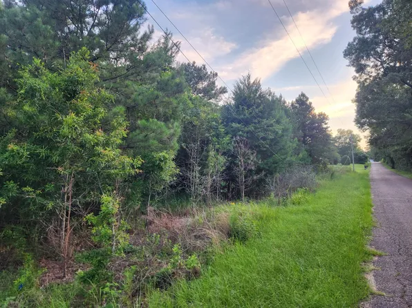 0 Elias Whiddon Rd, Hattiesburg, MS 39402