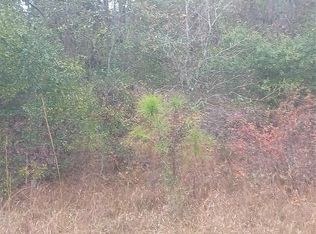 534 Rosewood St #39, Georgetown, FL 32139