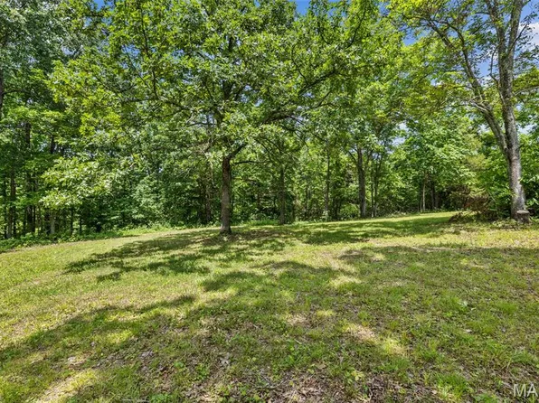 103 County Road 838, Black, MO 63625