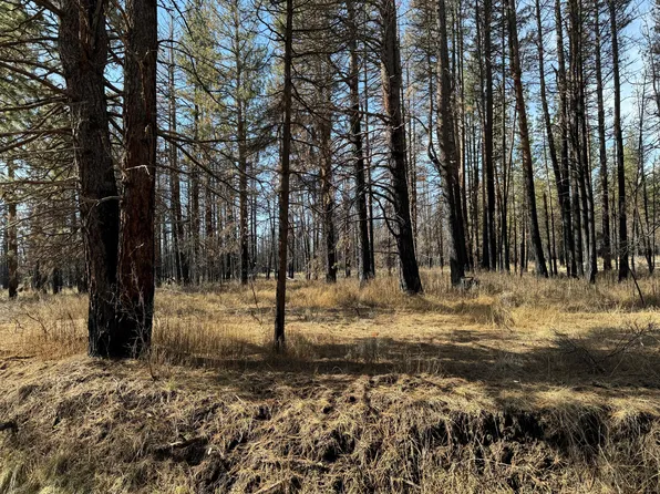 Near Godowa Springs Rd, Beatty, OR 97621