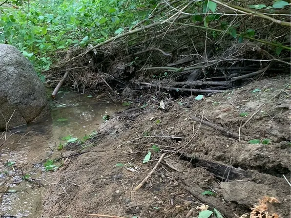 0 Hook Ln #30, Cedar Glen, CA 92321