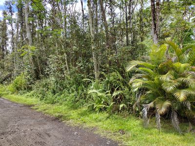 Hilo Rd #1, Pahoa, HI, 96778